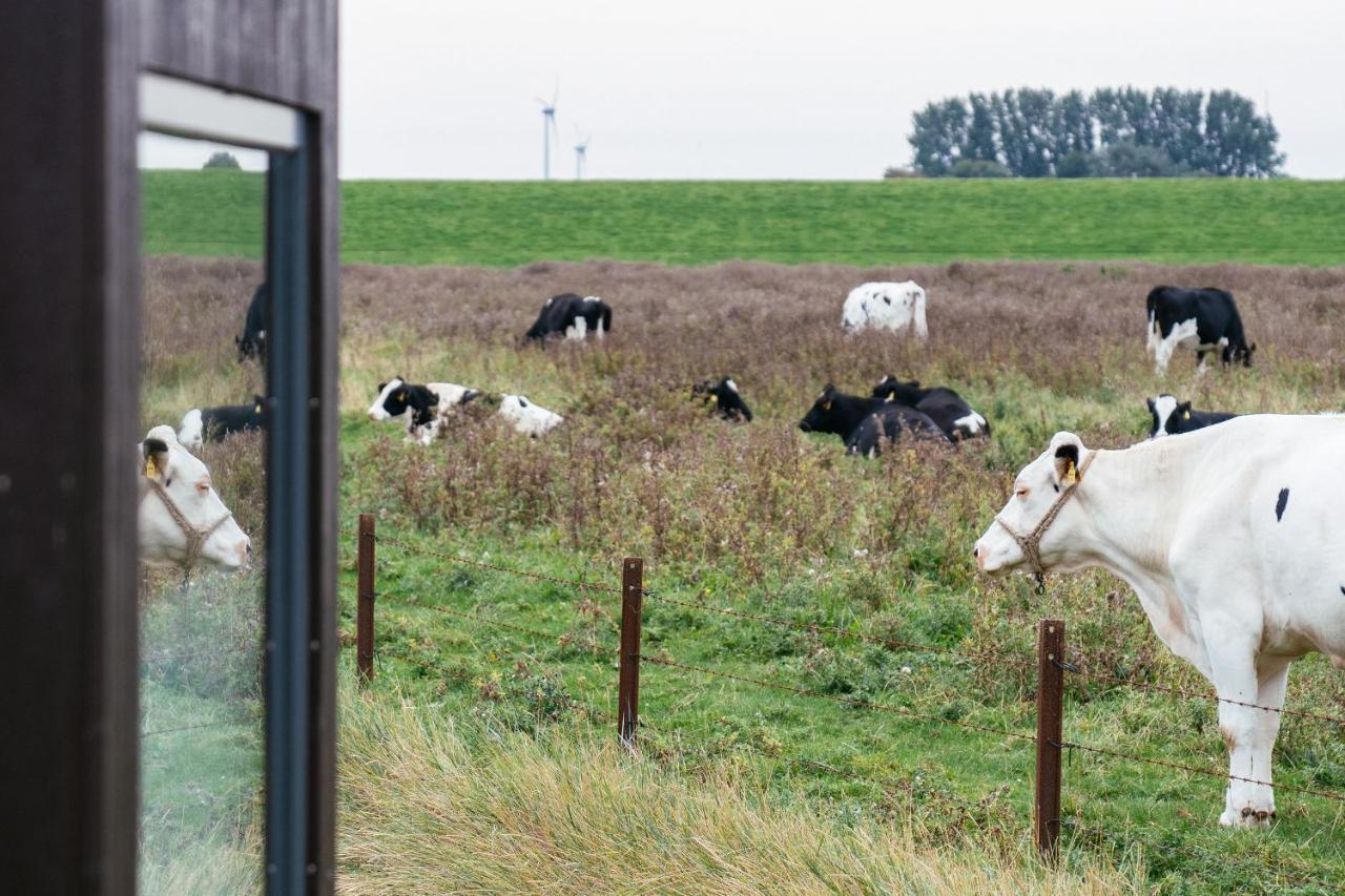 Tiny House Nature 6 Zur Kuhweide - Green Tiny Village Harlesiel Carolinensiel Bagian luar foto