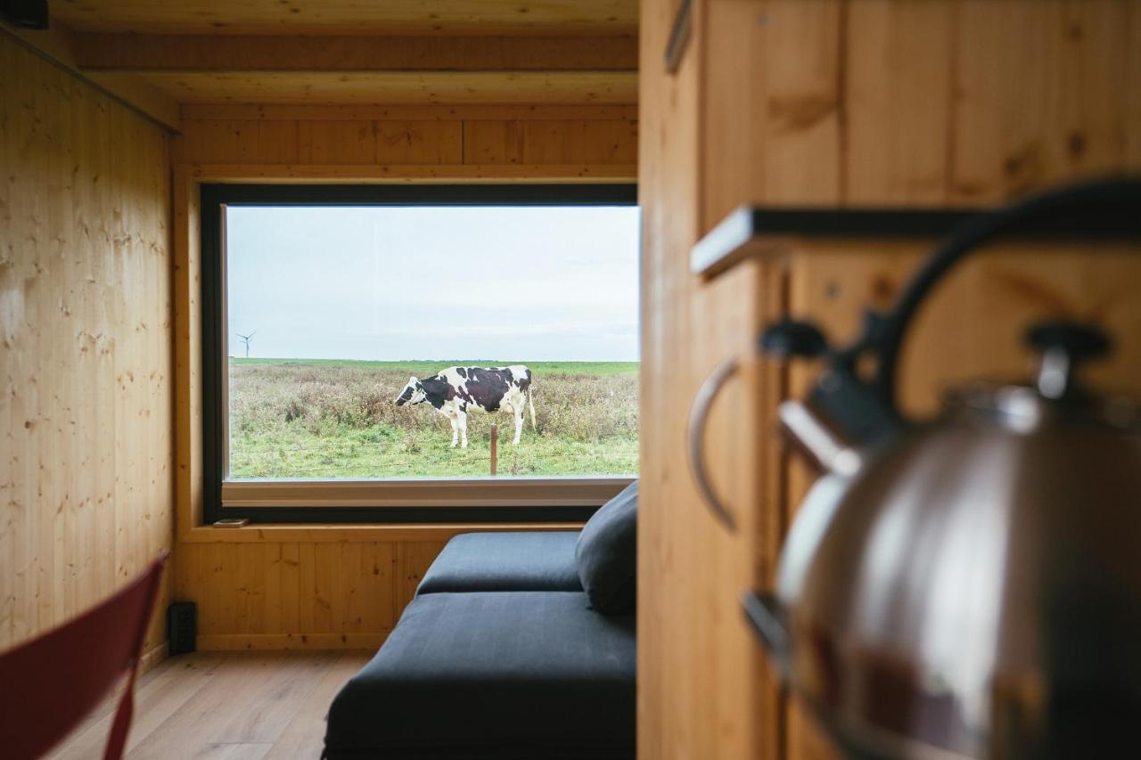 Tiny House Nature 6 Zur Kuhweide - Green Tiny Village Harlesiel Carolinensiel Bagian luar foto